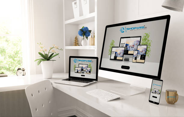 Shopweb Internship