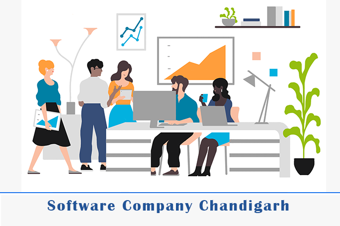 image for software-company-chandigarh