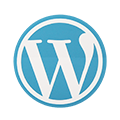 WordPress Training Institute in Bhubaneswar