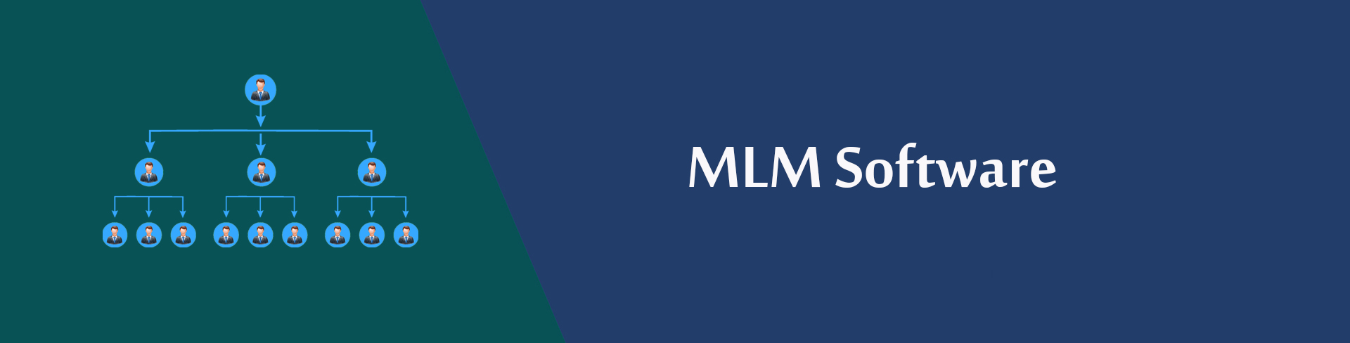 MLM Software