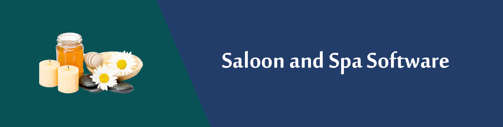 Saloon and Spa Software